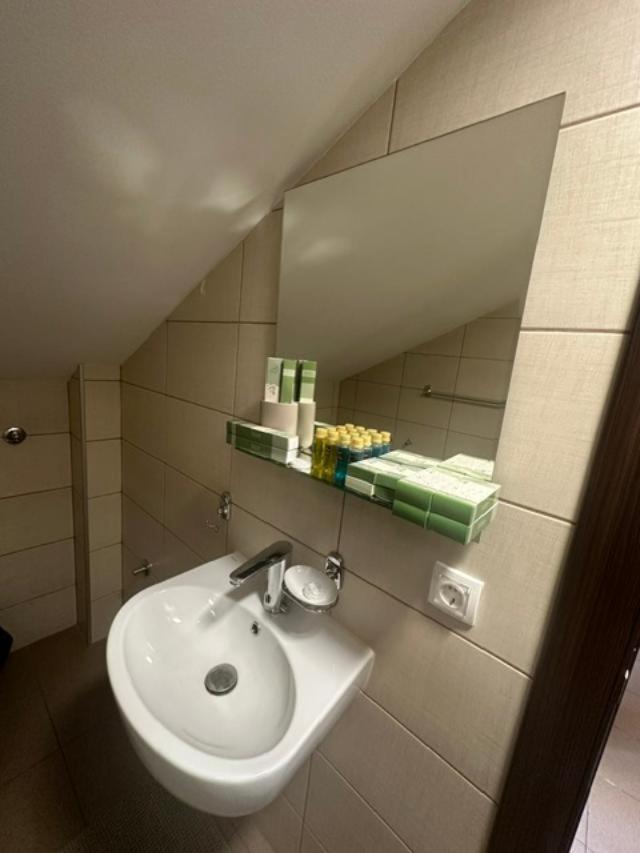 Jp Motel Mali Pariz Бор Екстер'єр фото