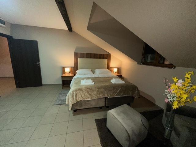 Jp Motel Mali Pariz Бор Екстер'єр фото