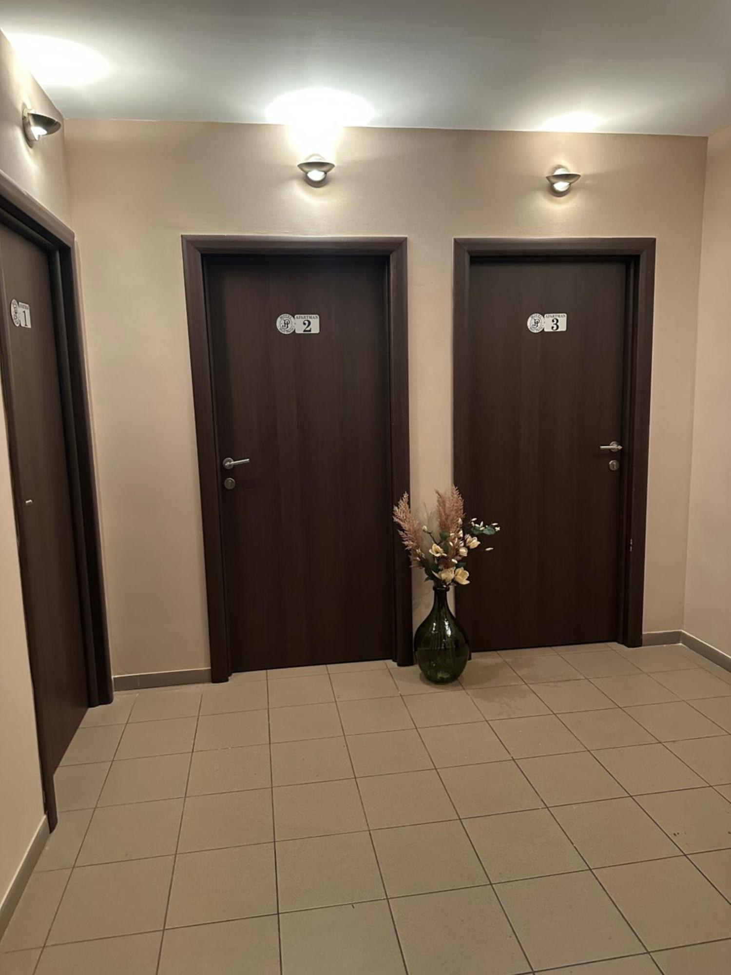 Jp Motel Mali Pariz Бор Екстер'єр фото